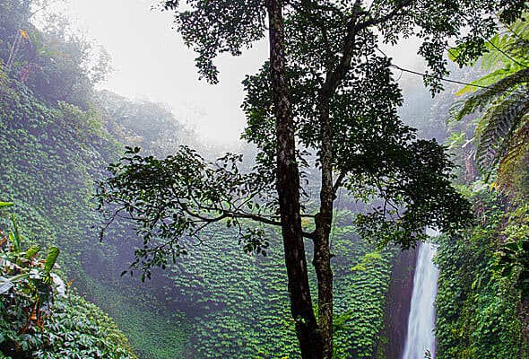 Blogs img 07 free img